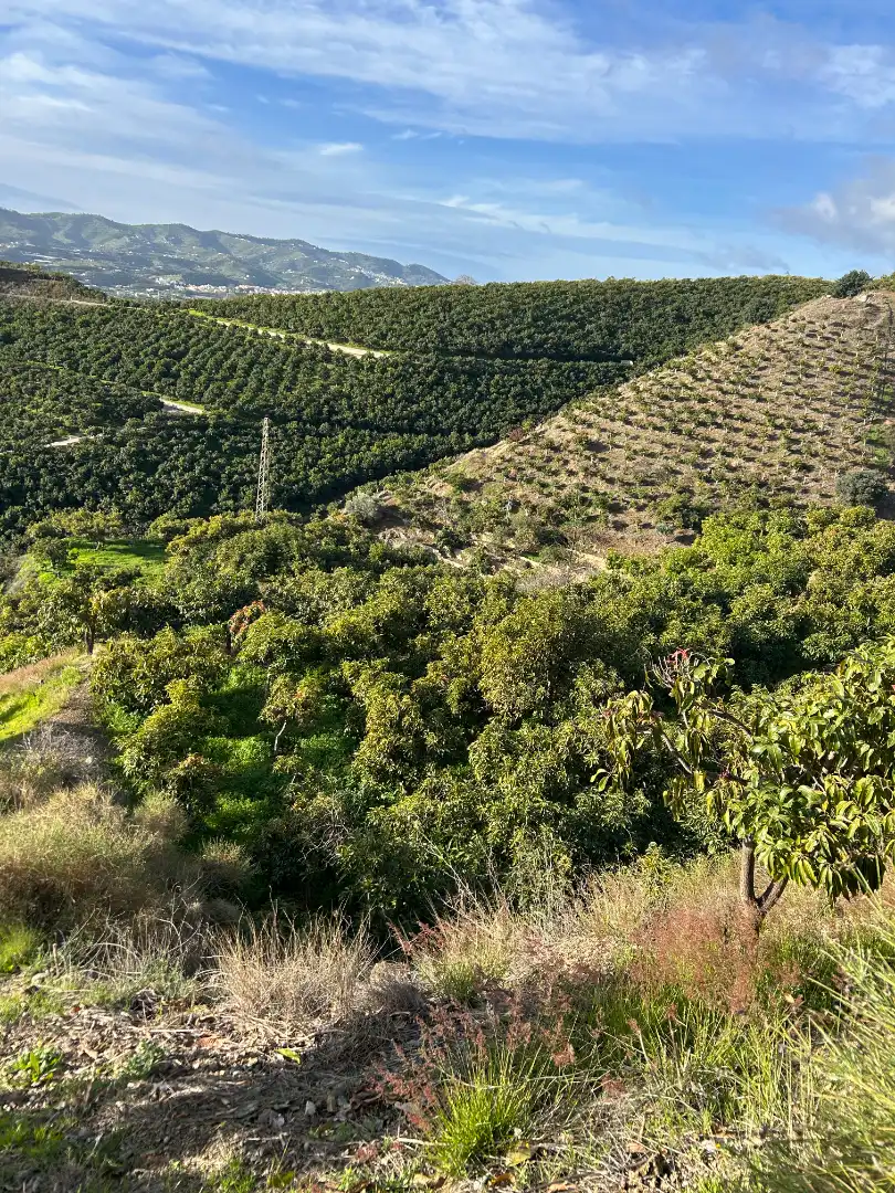 Terreni e lotti in vendita a Barrio Trapiche-la Palma Sg.T 6, imagen 5