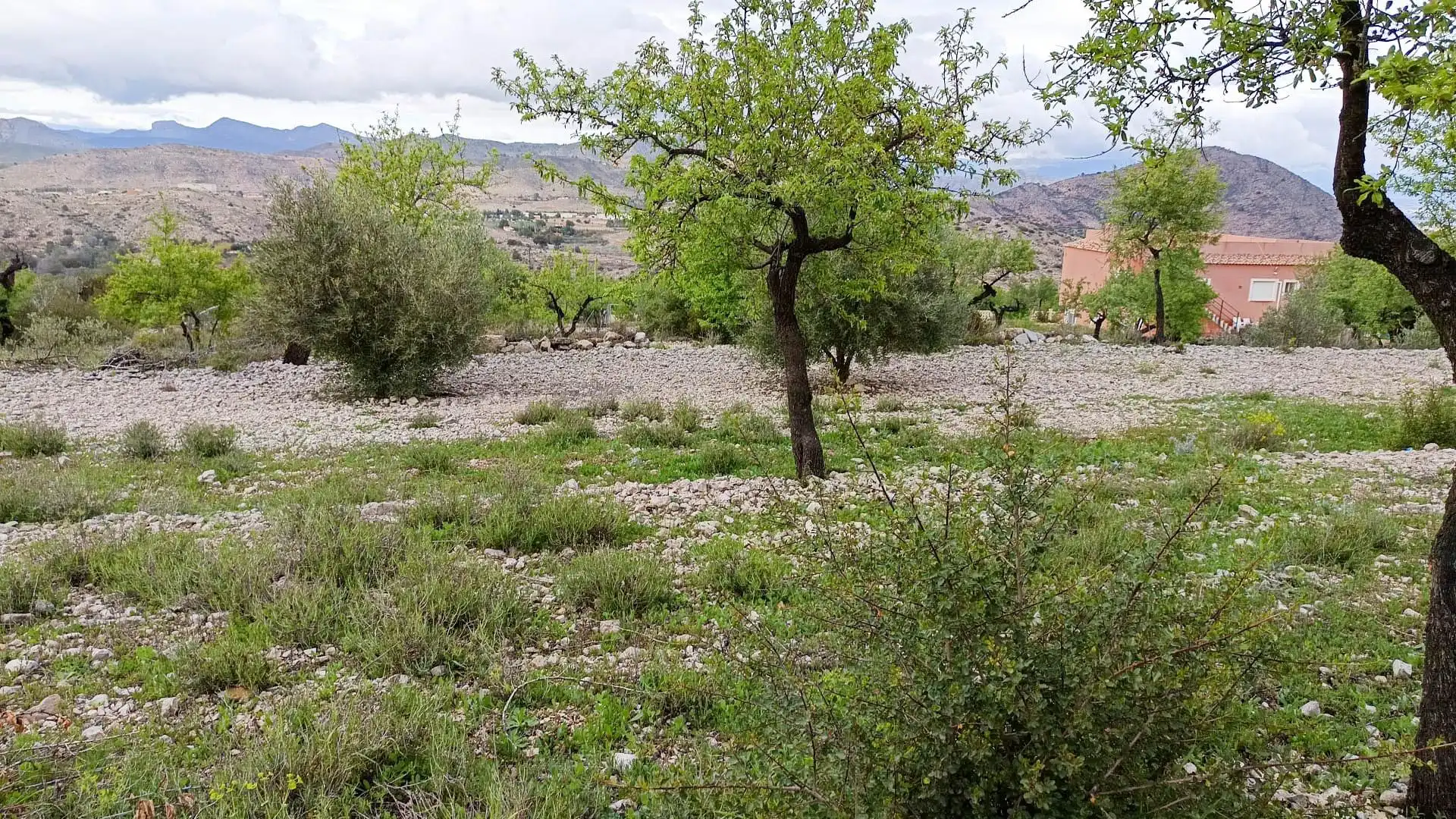 Haus mit Garten zum Verkauf in Hondón de las Nieves / El Fondó de les Neus, imagen 12