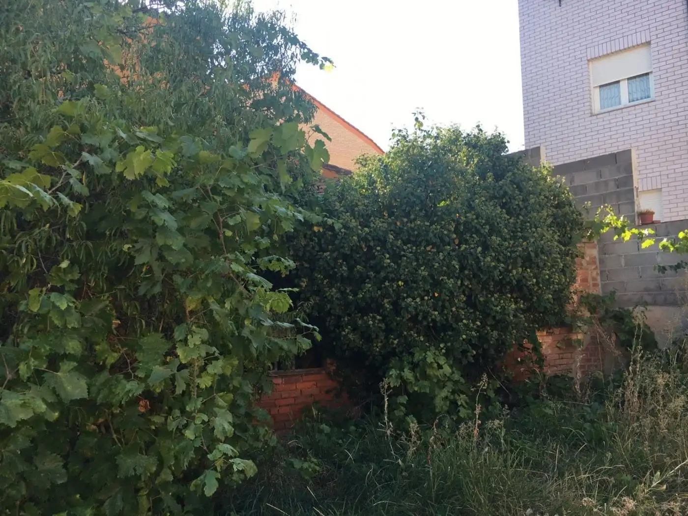 Terreni e lotti in vendita a Villaquilambre, imagen 6