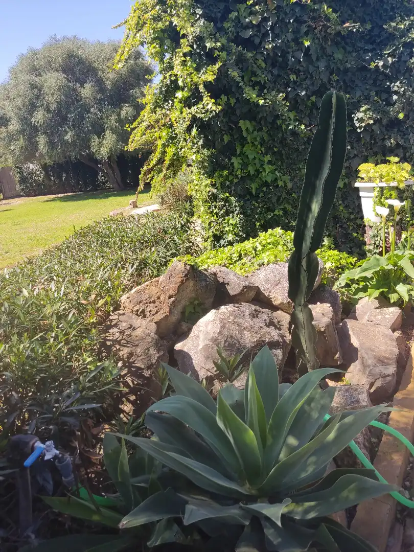 Jardí de Edifici en venda en Benalup-Casas Viejas amb Piscina comunitària