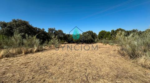 Foto 3 von Grundstücke zum Verkauf in M-959, 1, Cerro Alarcón, Valdemorillo