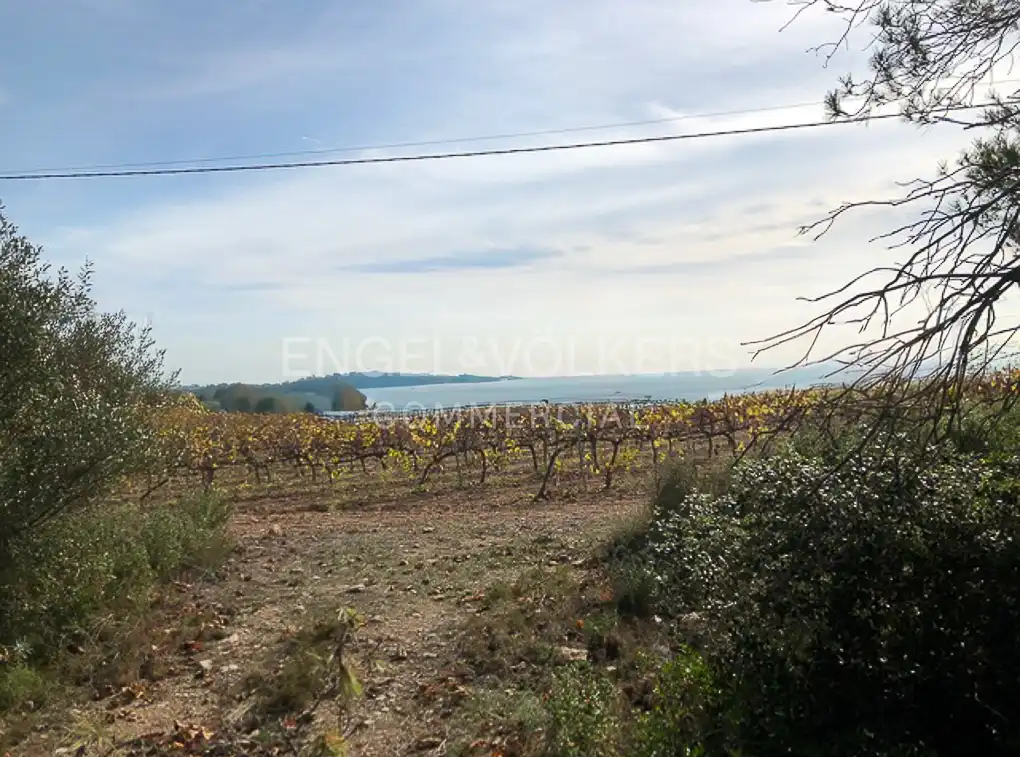 Fabrik Grundstücke zum Verkauf in Avinyonet del Penedès