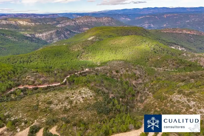 Land for sale in Torralba del Pinar