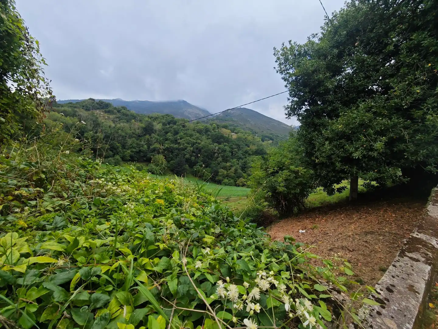 Haus mit Garten zum Verkauf in Vibaña - Ardisana - Caldueño, imagen 17