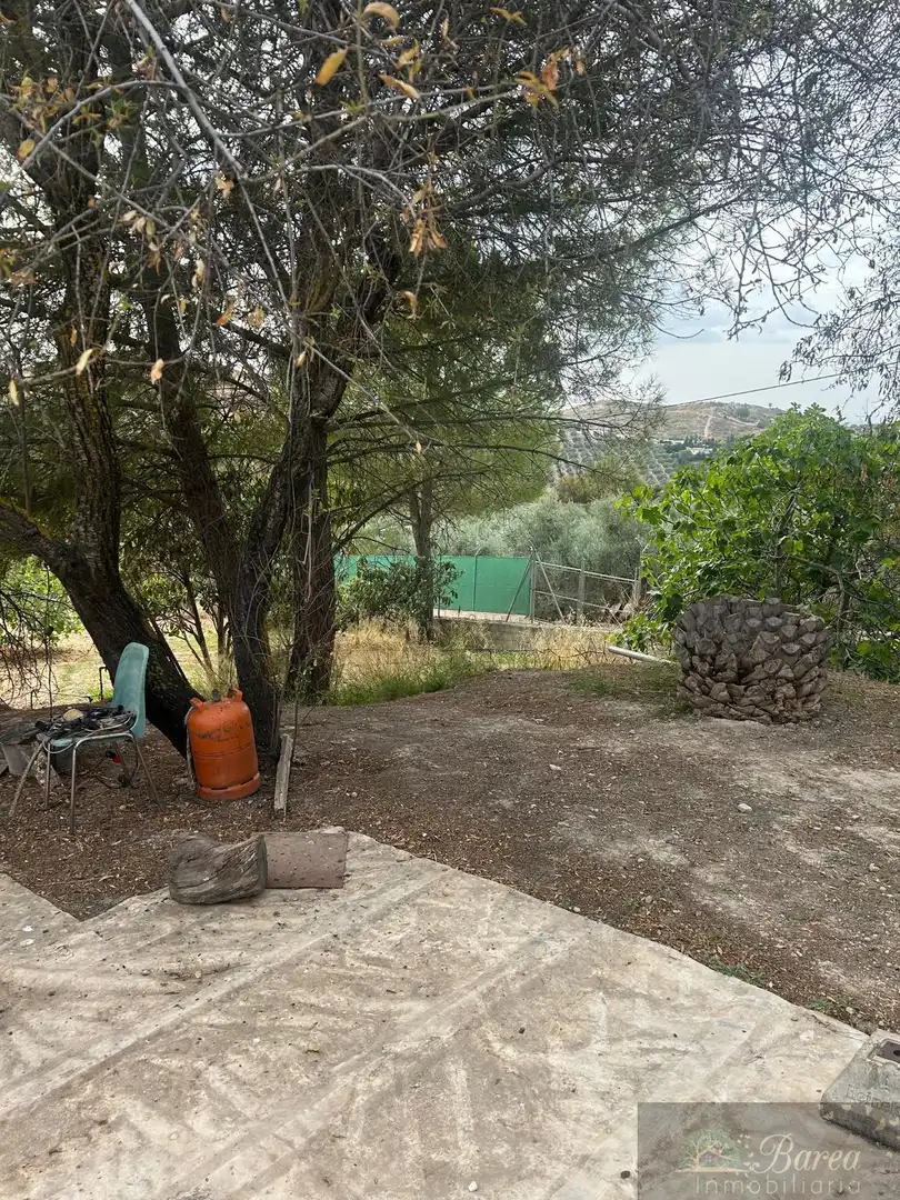 Xalet amb piscina en venda a Rute