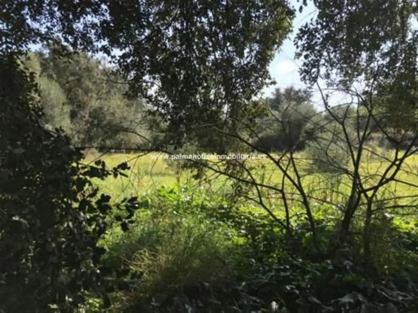 Wohnbaugrundstück zum Verkauf in Llubí
