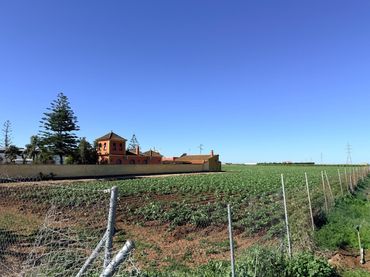 Grundstücke und Bauplätze zum Verkauf in Carretera de Tocina los Rosales