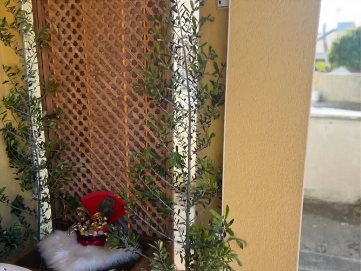 Balcony of Houses for share in La Franquesa - Oasis Park