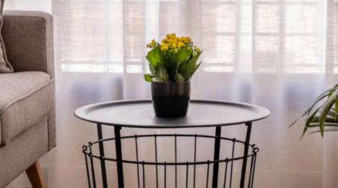 Foto 5 de Estudi de lloguer a La Trinidad, Málaga Capital