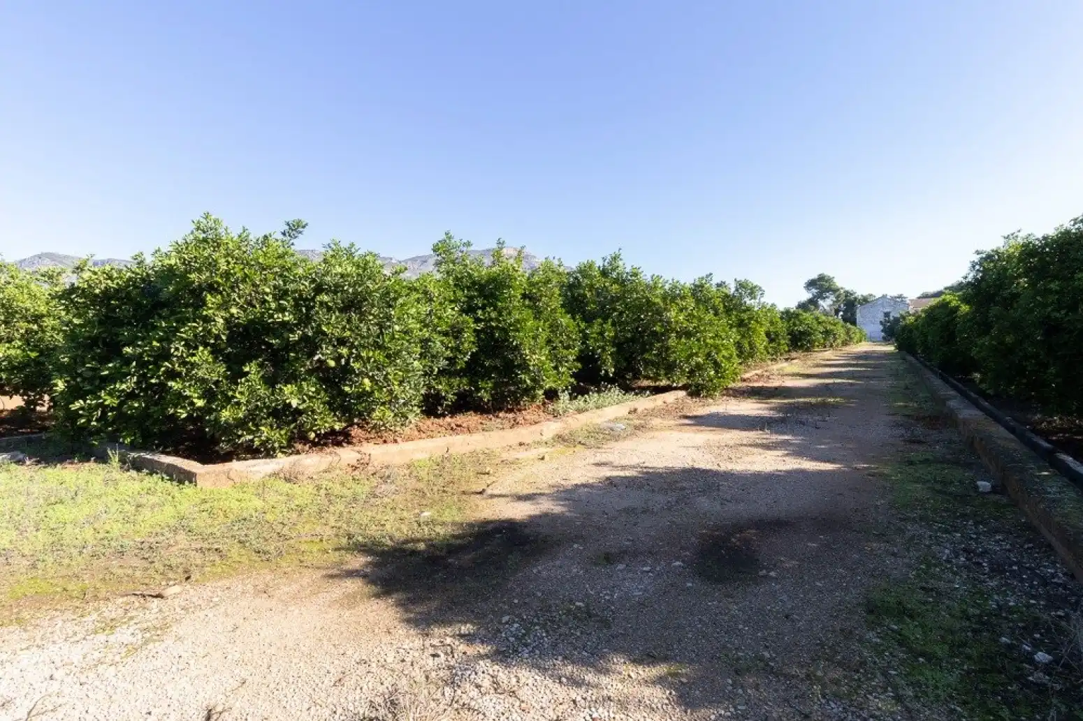 Terrain rustique à vendre à Benifairó de la Valldigna - HORTA, imagen 11