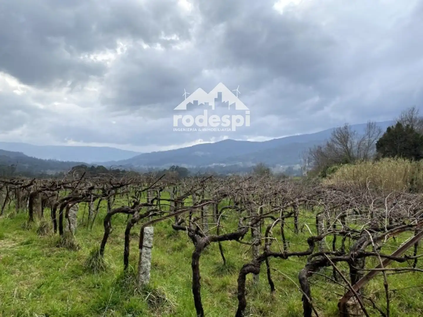 Terreny rústic en venda a A Cañiza, imagen 23