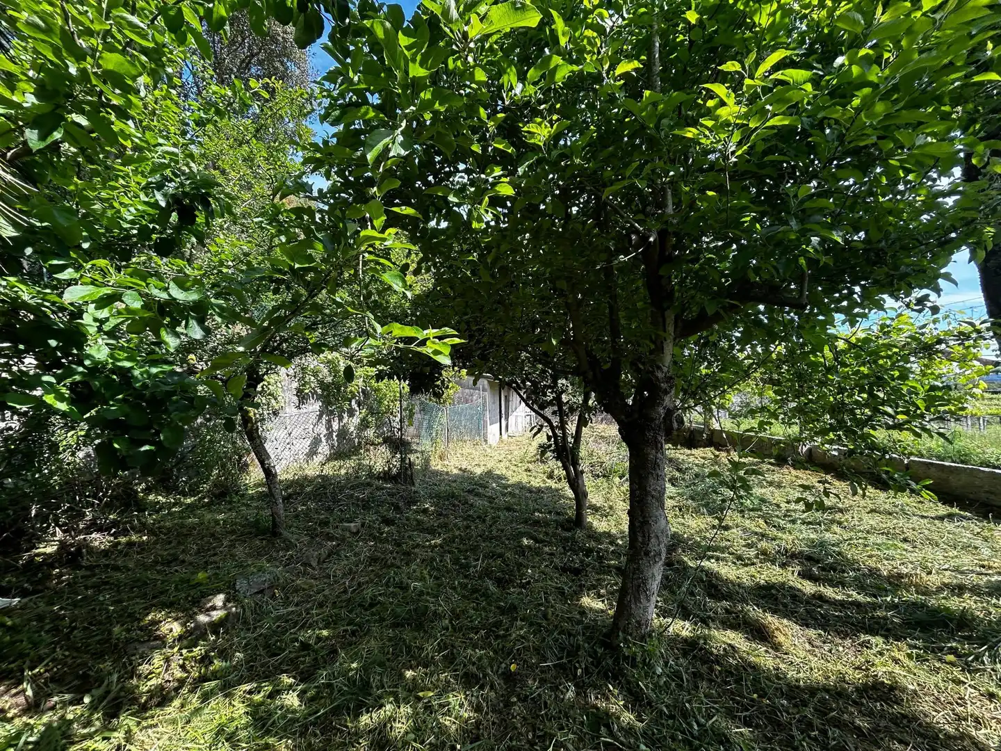 Casa o chalet en venta en Meis con Calefacción, Terraza y Balcón