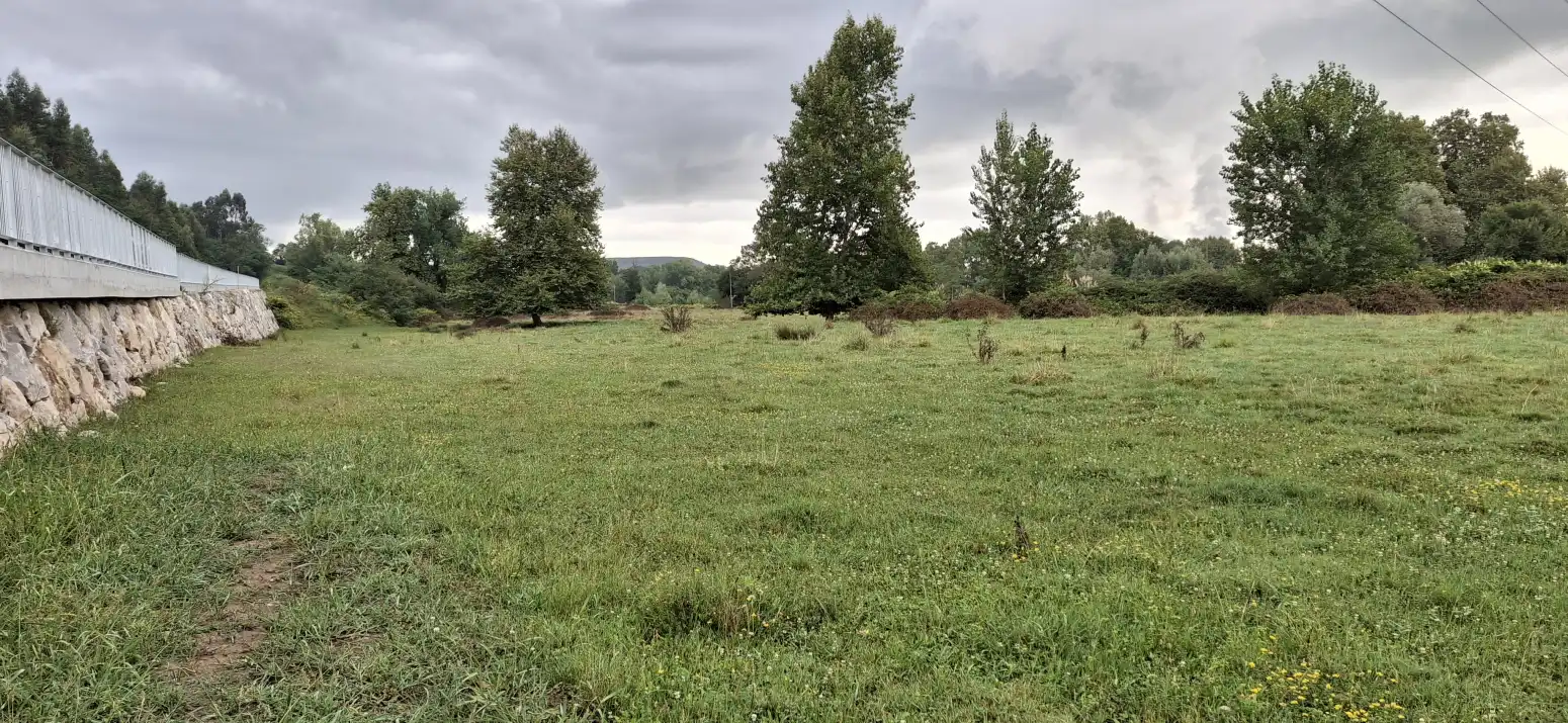 Terreno rustico in vendita a MIES DEL MEDIO, imagen 7