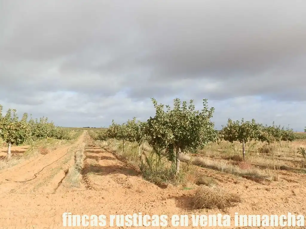 Terreni e lotti in vendita a Las Mesas, imagen 6
