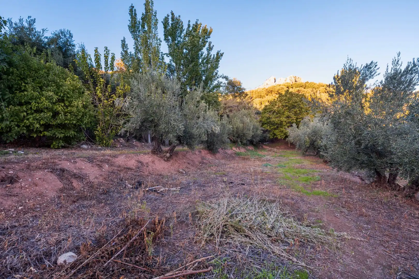 Casa o xalet en venda en Cogollos de la Vega
