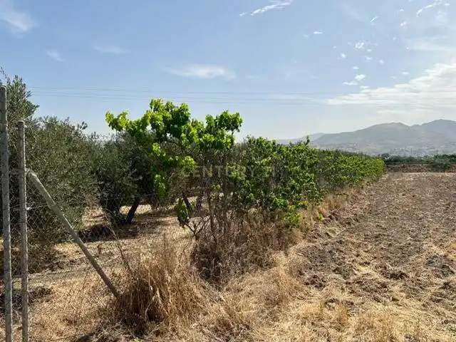 Terreno rustico in vendita a JUEVES POR LA MAQANA POLIGONO 3, imagen 12