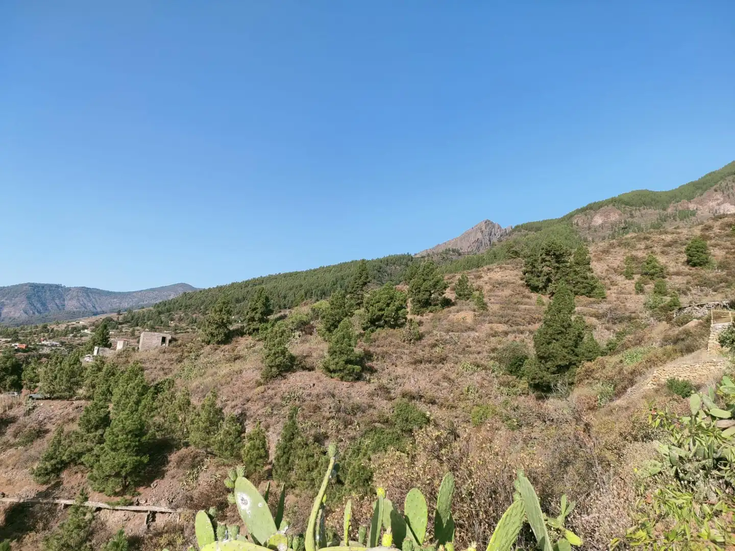 Rural land for sale in Arafo, imagen 5