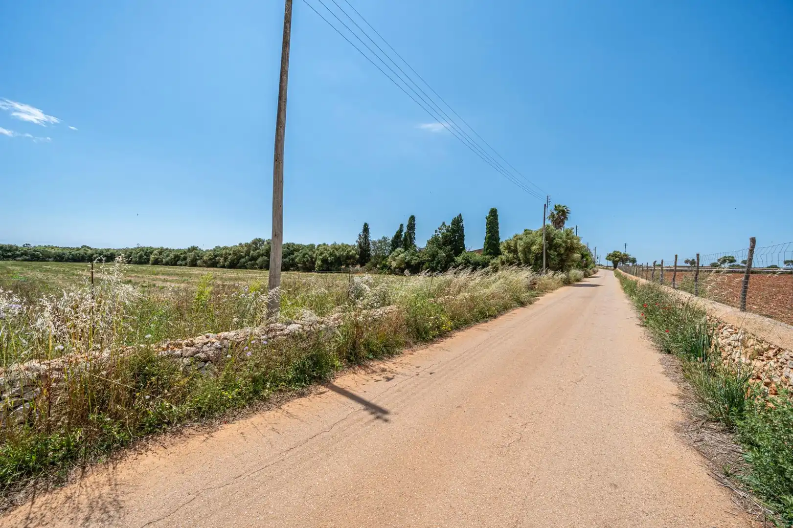 Rural land for sale in Felanitx Poble, imagen 5