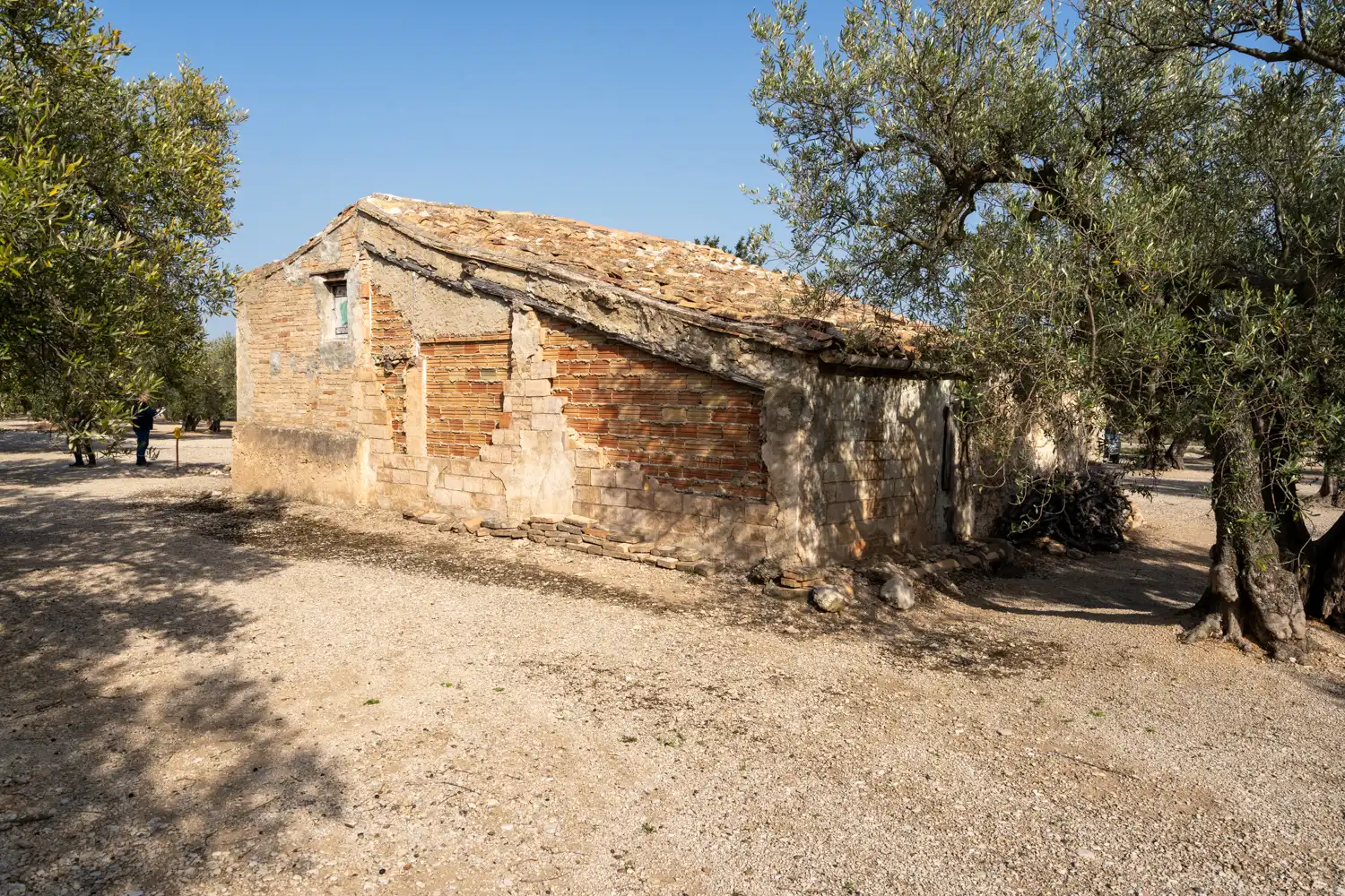 Terreno rustico in vendita a Roquetes, imagen 8