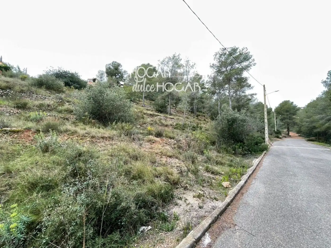 Rural land for sale in Segovia-Priorat, imagen 3