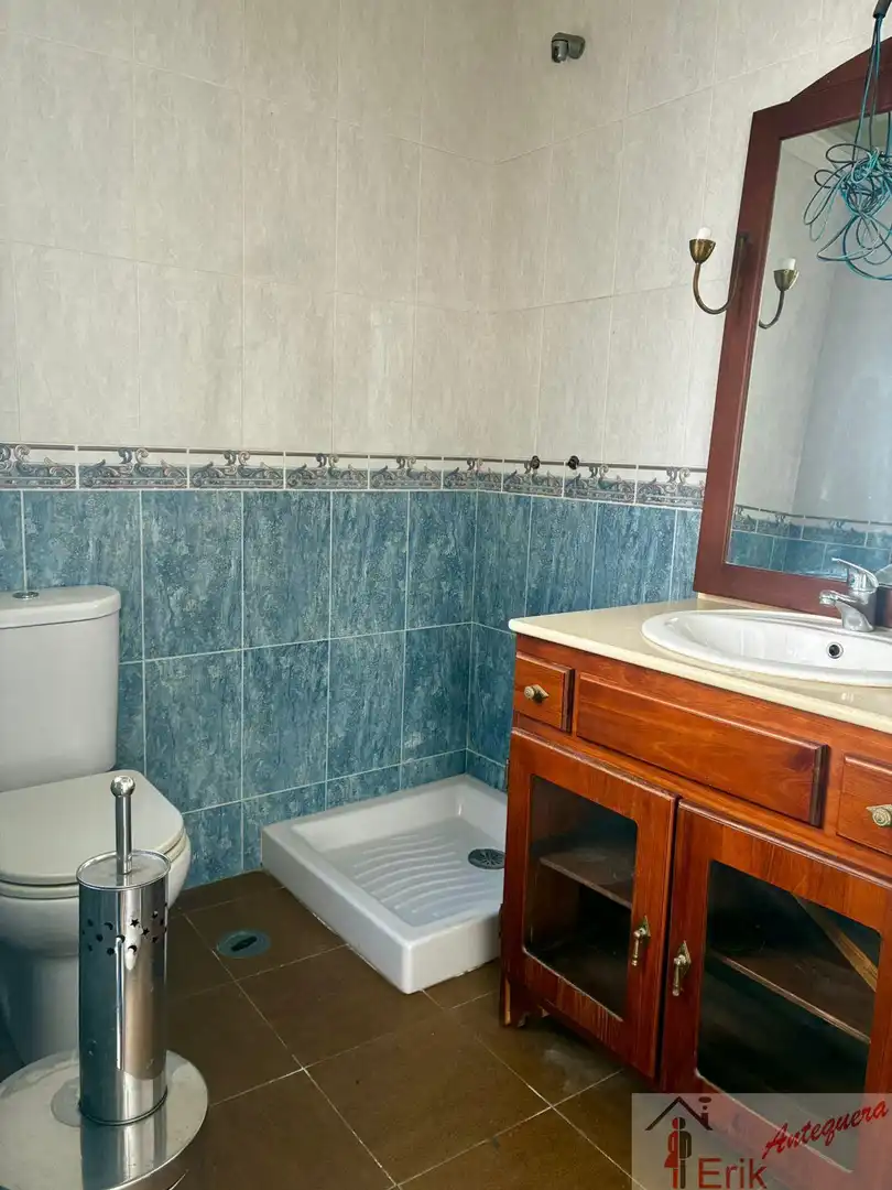 Bathroom of Detached homes for sale in Antequera  with Terrace, Storage room and Balcony