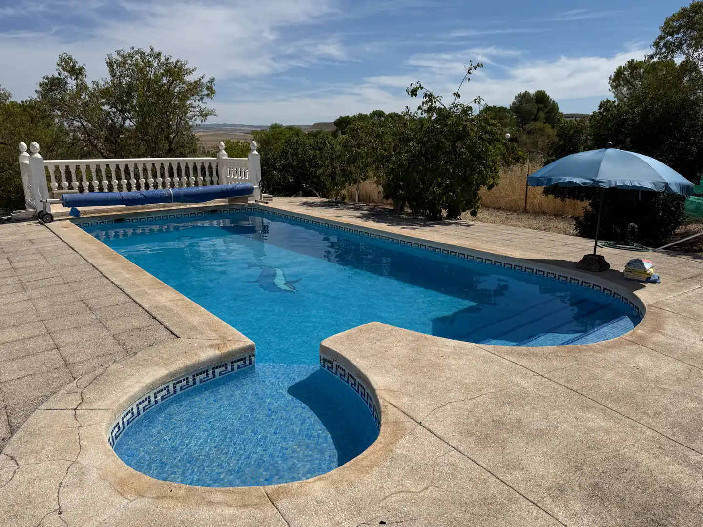 Piscina de Casa o chalet en venta en Illana con Calefacción, Jardín privado y Terraza