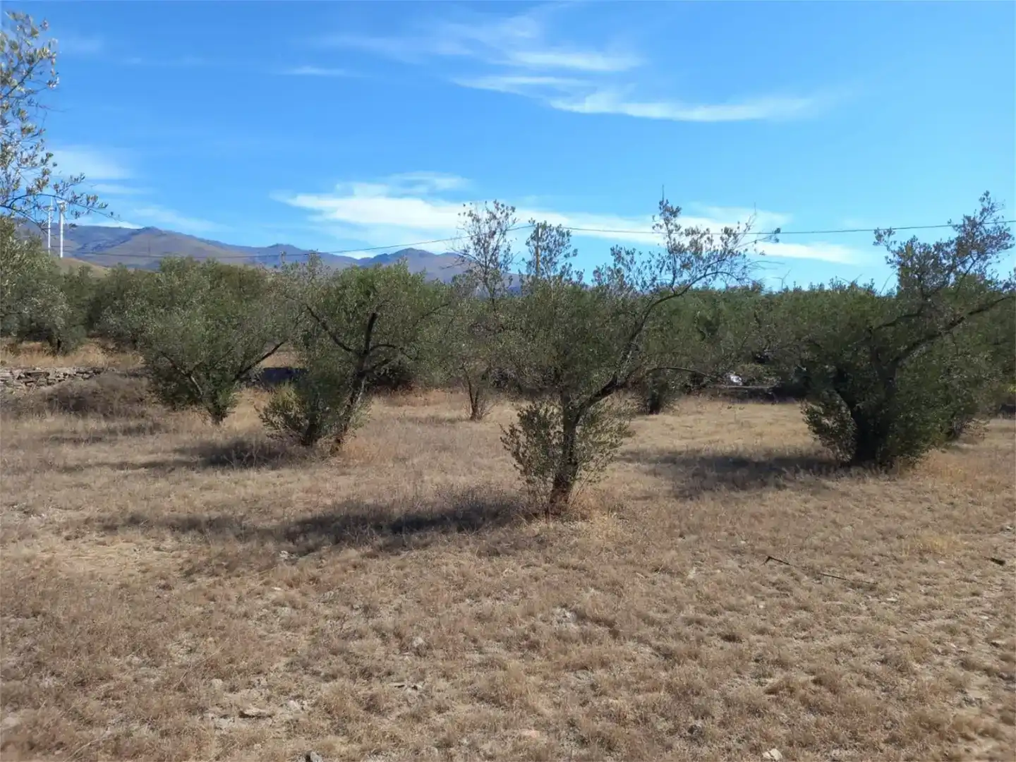 Terreno en venta en Las Tres Villas, Almería