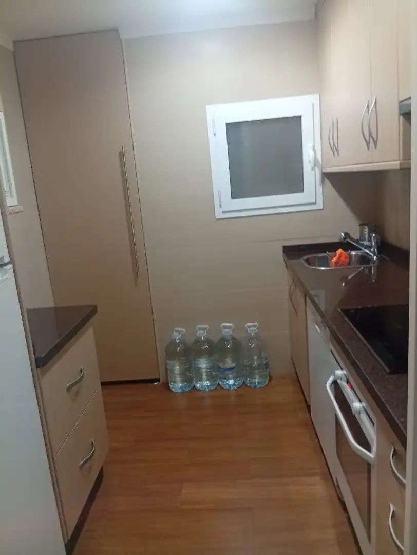 Kitchen of Flat for rent in Marbella  with Furnished