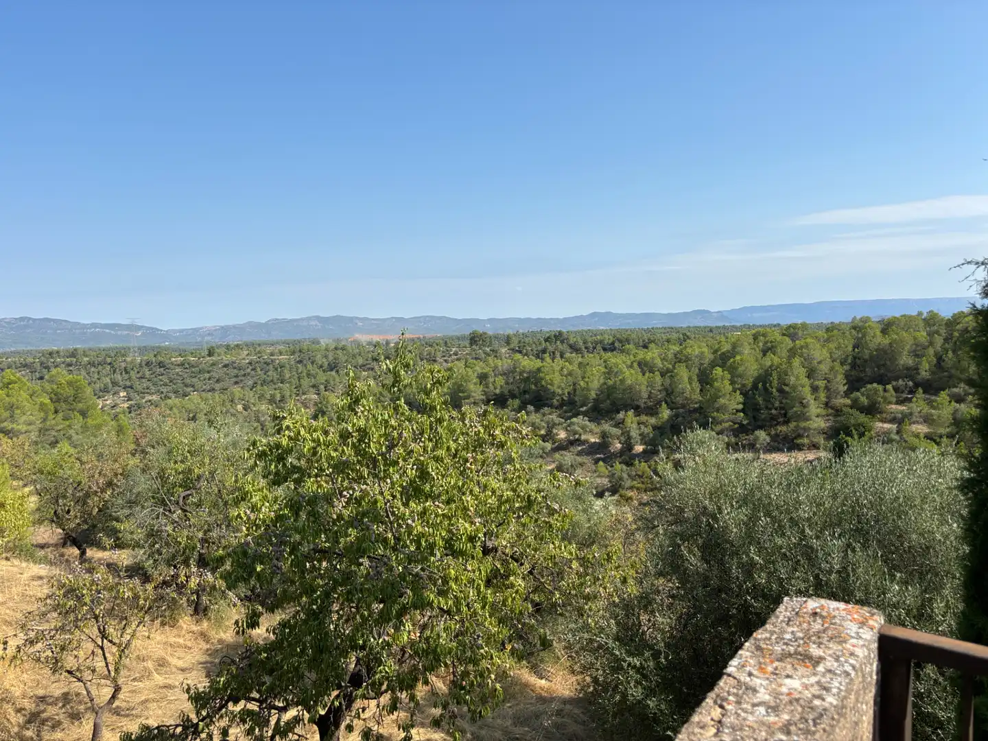 Rural land for sale in Carrer de la Muntanya, imagen 23