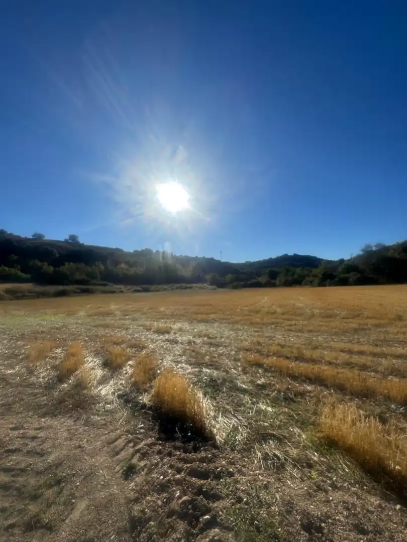 Terreny rústic en venda a Los Santos de la Humosa, imagen 6