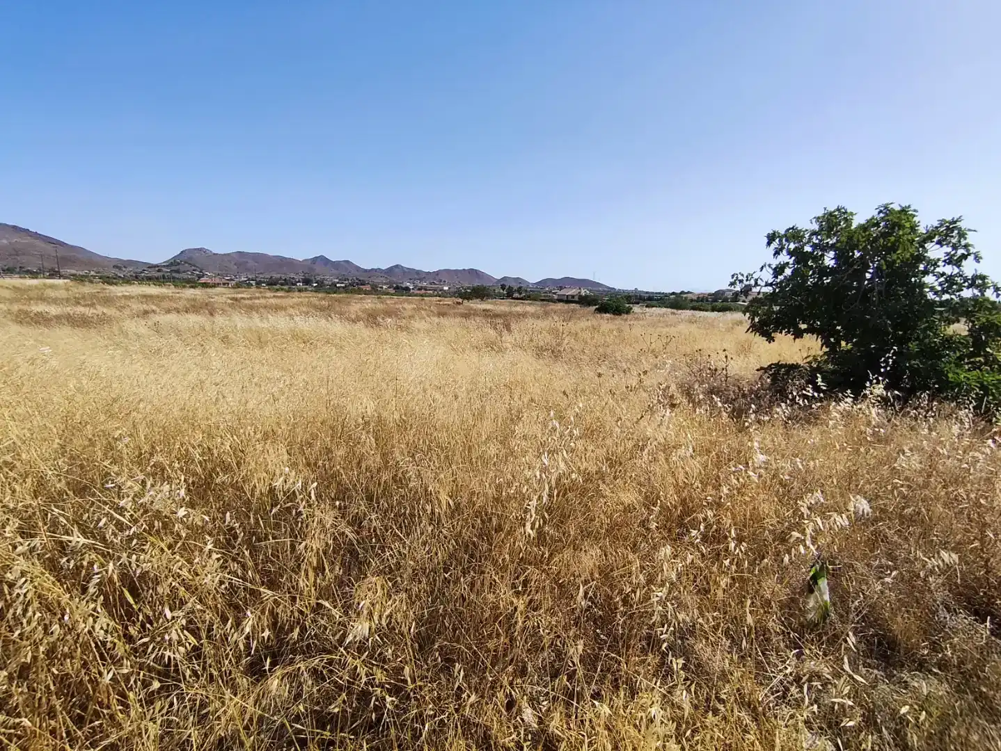 Finca rústica en venda en Cartagena
