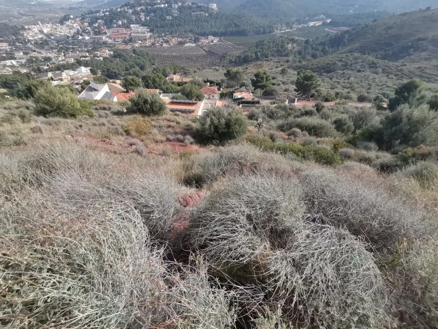 Rural land for sale in Partida Balcon de la Peña, imagen 8