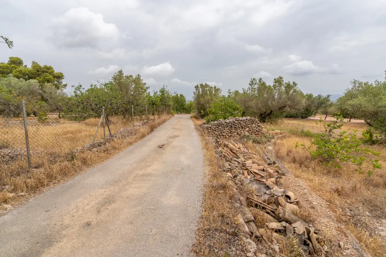 Terrain rustique à vendre à Carrer del Boix 54, imagen 11