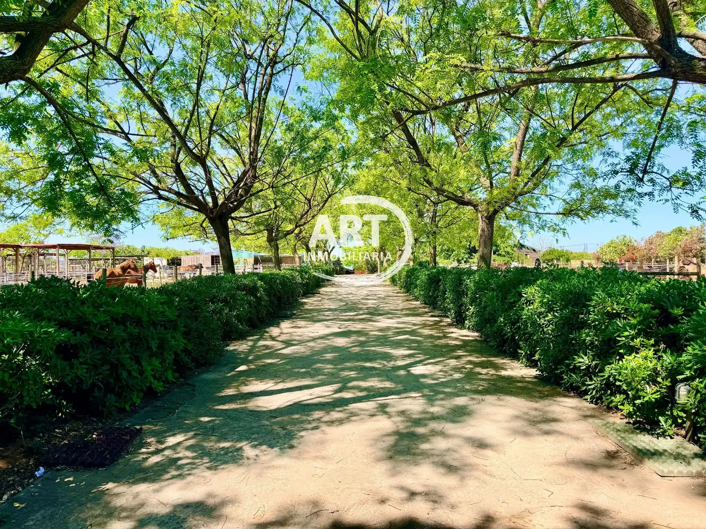 Vista exterior de Casa o chalet en venta en Bétera con Aire acondicionado, Calefacción y Jardín privado