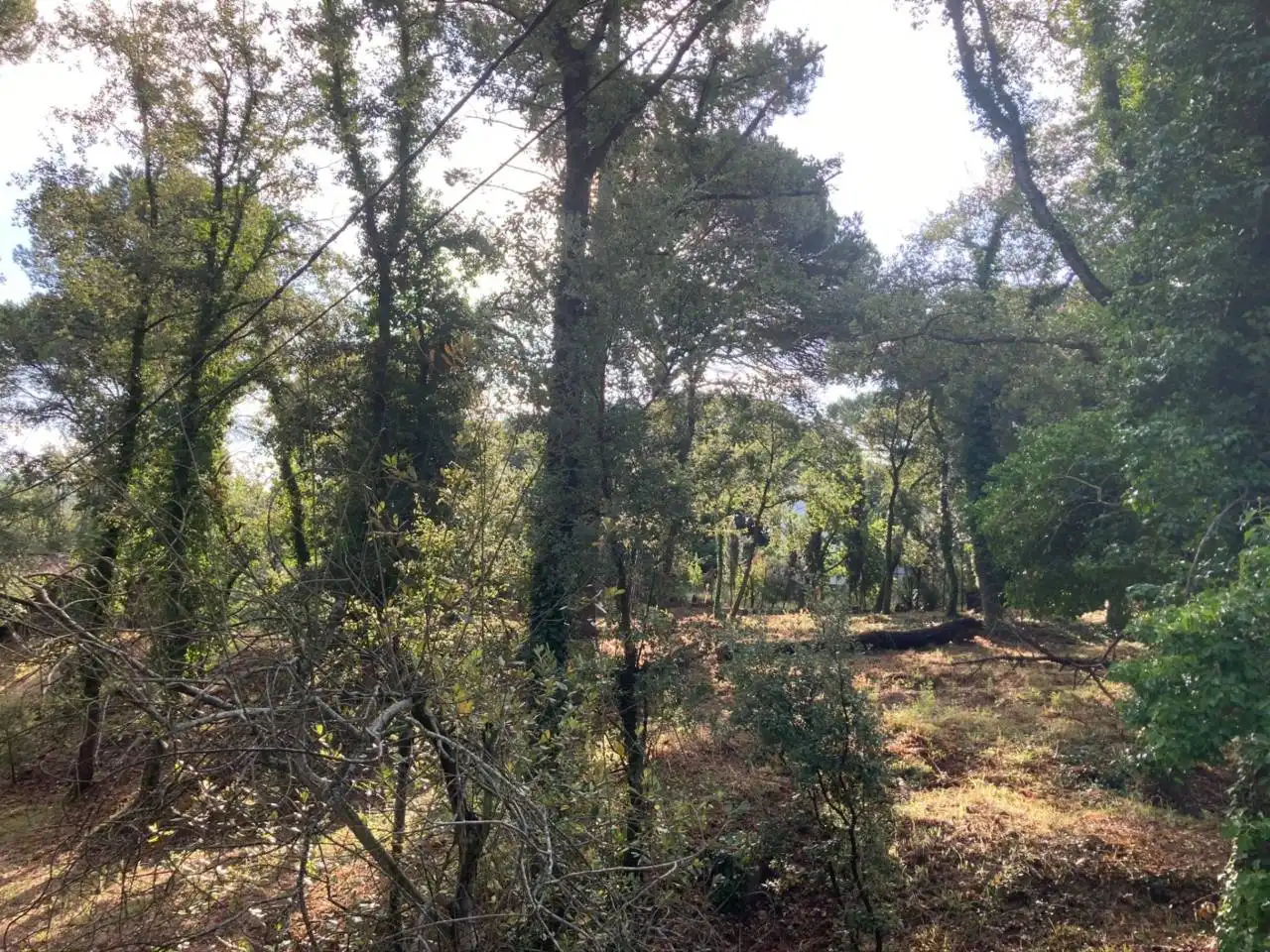 Terreno residencial en venta en Caldes de Malavella, imagen 13