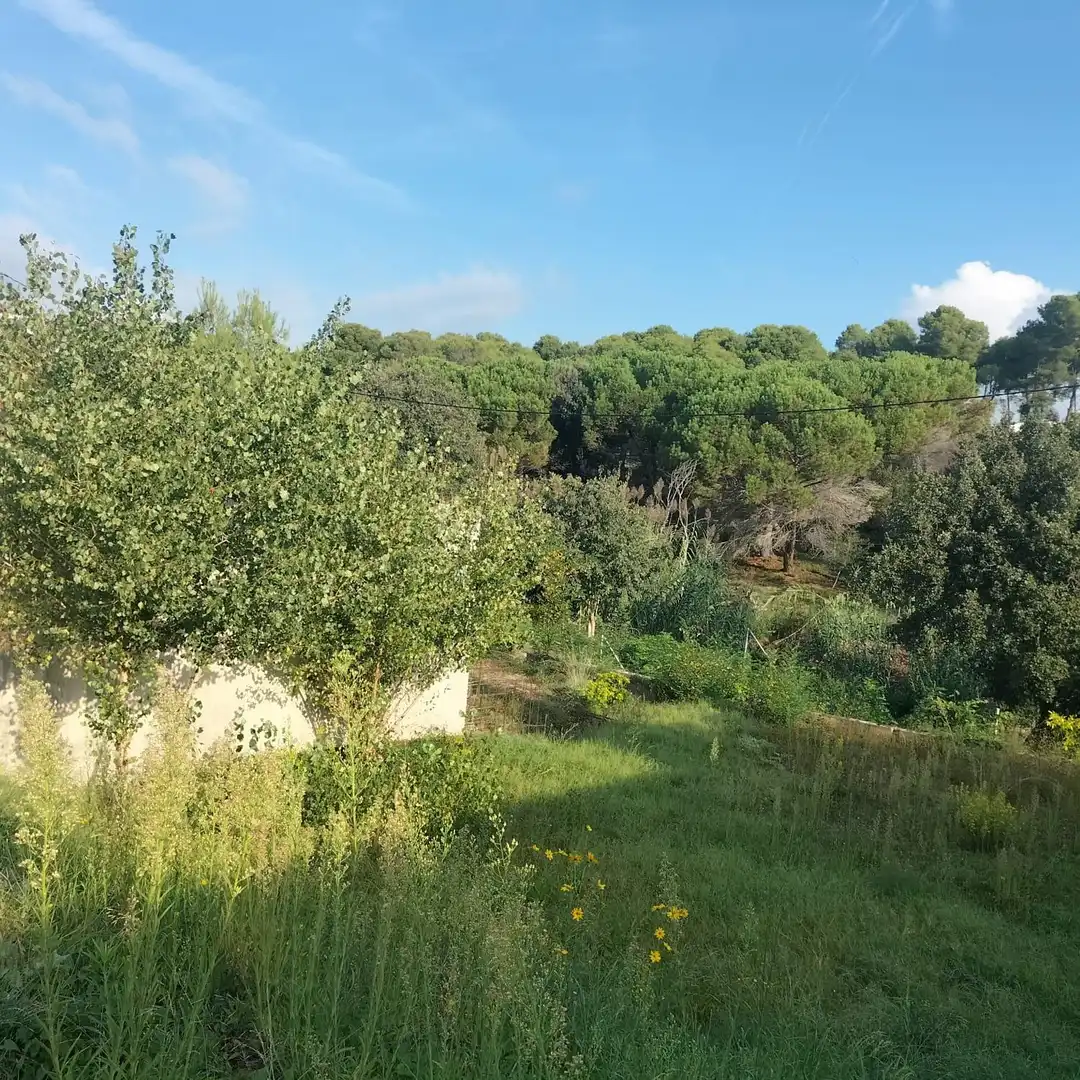 Residential land for sale in Carretera Carretera de la Sagrera 28, imagen 6