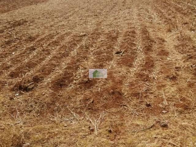 Terreno en Venta en Montijo