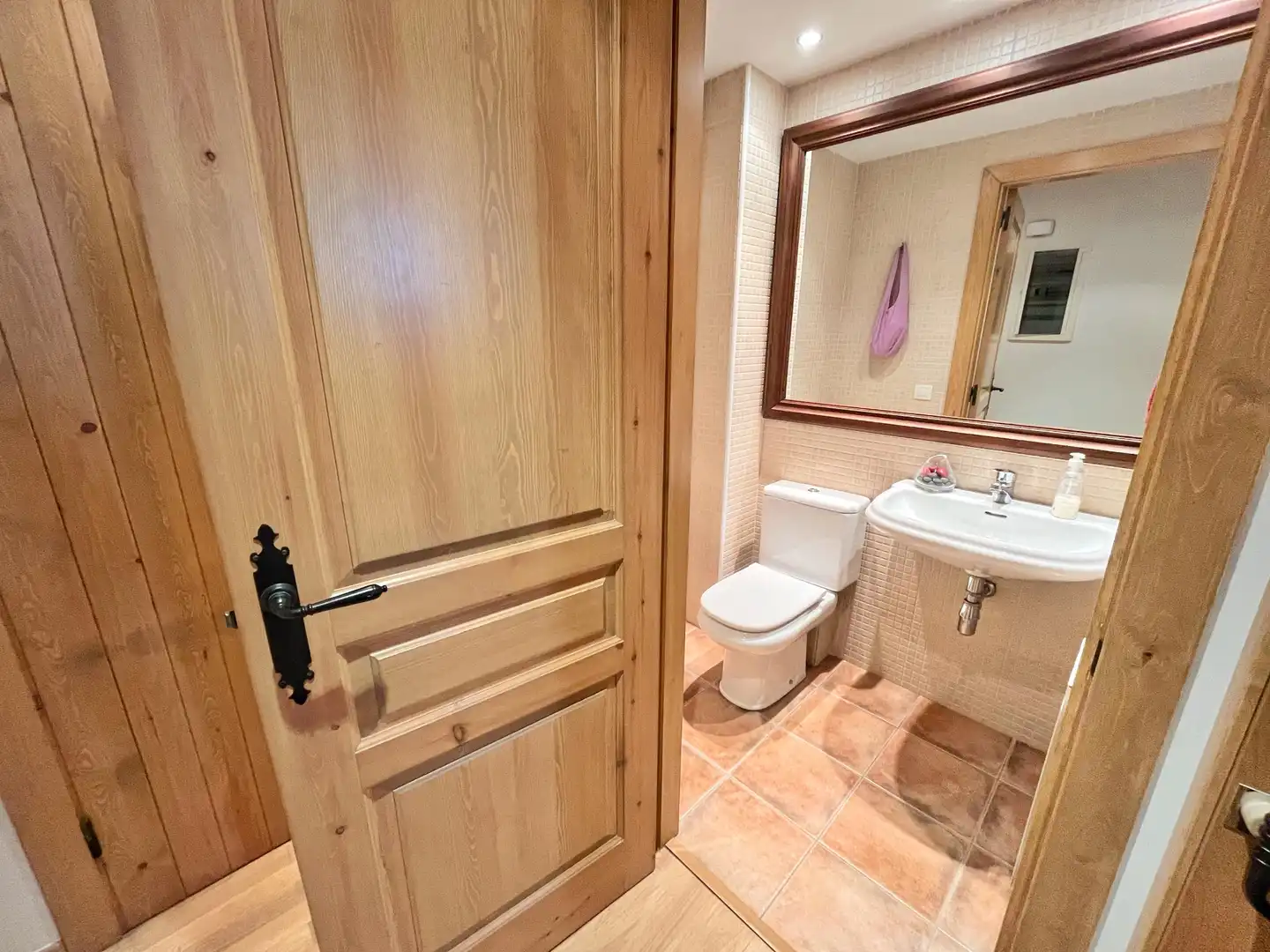 Baño de Casa o chalet en venta en Alp poble