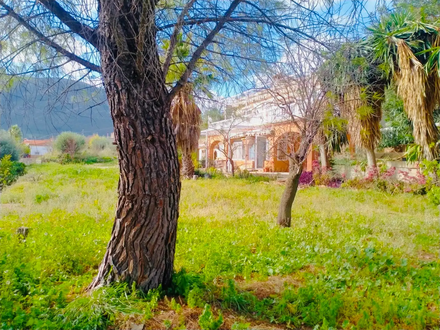 Jardín de Casa o chalet en venta en Parcent con Aire acondicionado, Calefacción y Jardín privado