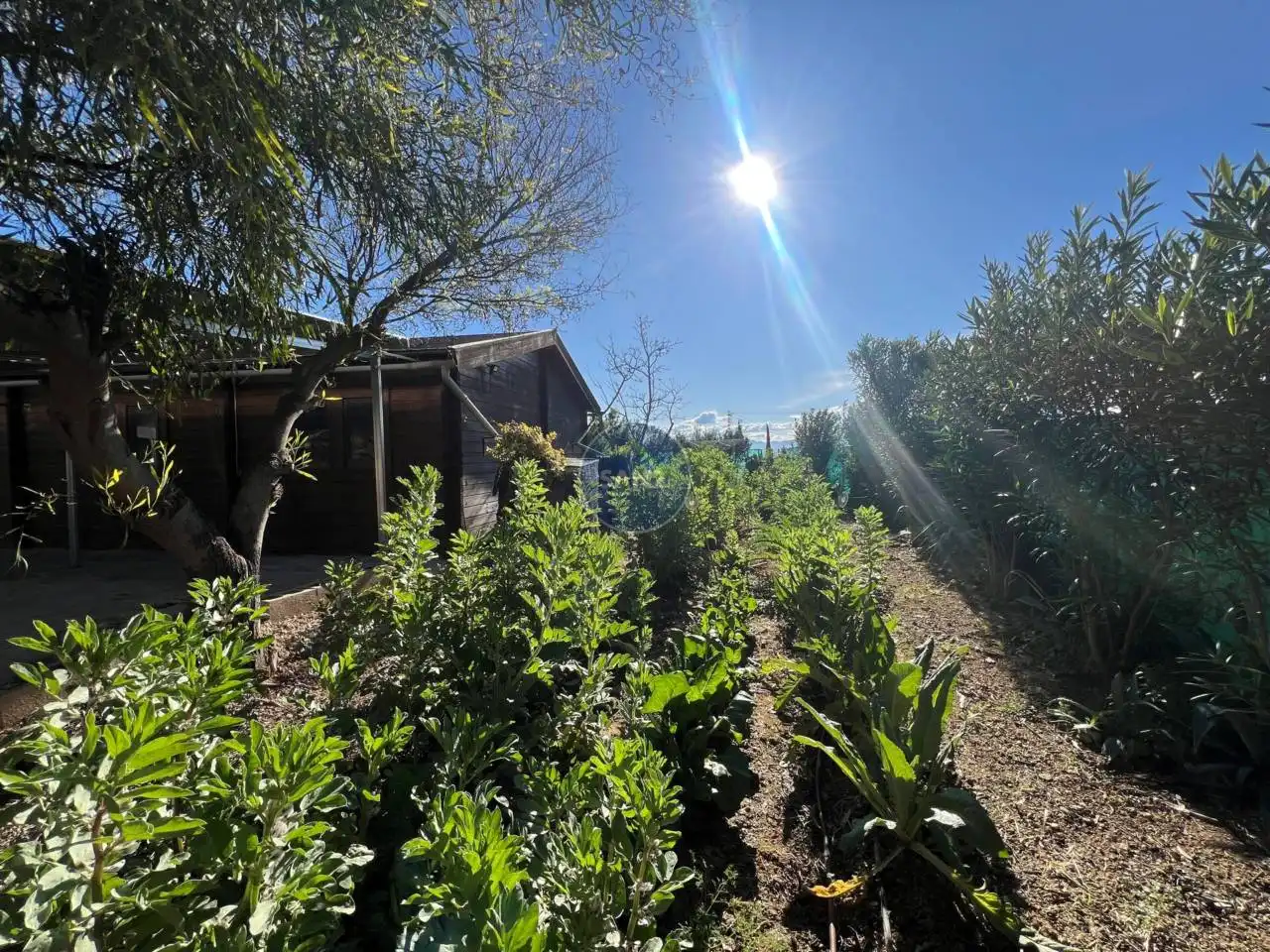 Xalet amb jardí en venda a Poligono Poligono 8, imagen 5