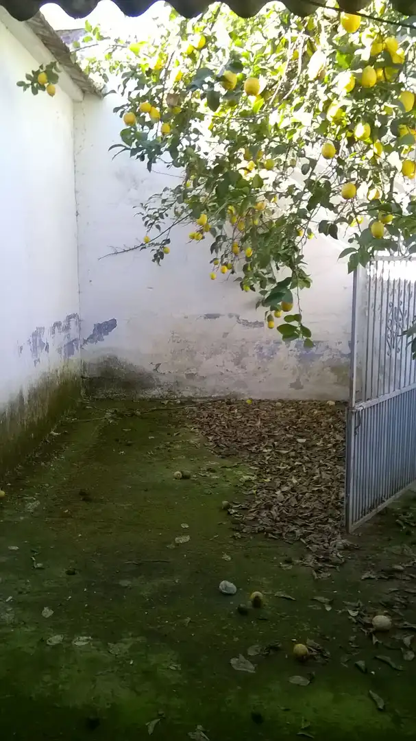 Casa en venta en Villanueva de la Serena, imagen 17