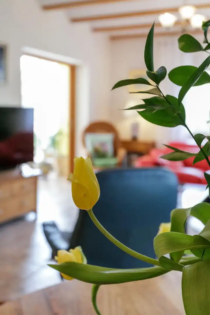 Houses for sale in Barx  with Air Conditioner, Heating and Private garden