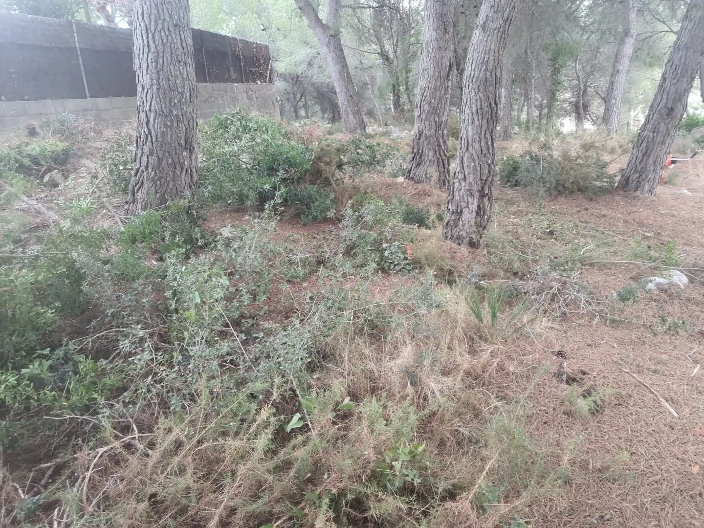 Grundstücke und Bauplätze zum Verkauf in Calafell Park, imagen 16