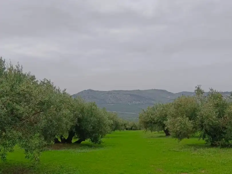Terreno en venta en Zuheros