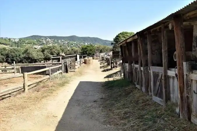Terrenos y solares en venta en Mas Mora - Sant Daniel, imagen 46