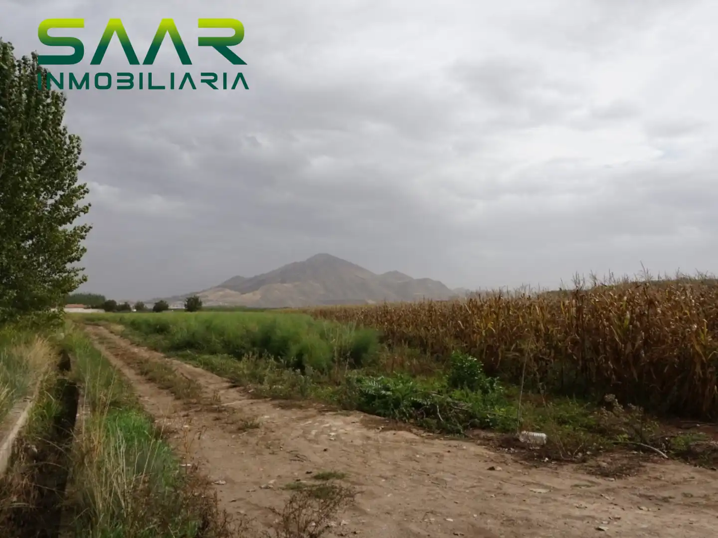 Rural land for sale in Pinos Puente