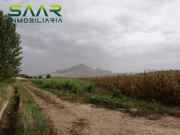 Terreno rústico en venta en Pinos Puente