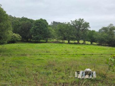 Terreno rústico en venta en Calle SAN ROQUE