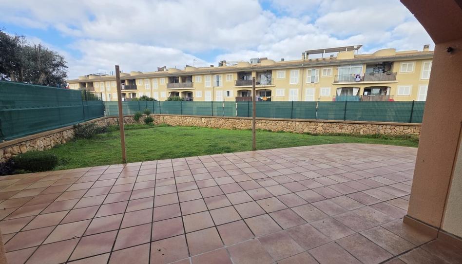 Photo 1 of Planta baja for sale in Sa Torre, Illes Balears