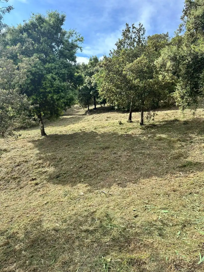 Lands and plots for sale in Caldes de Montbui, imagen 8